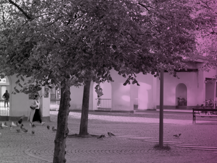 Foto af Lyngsies Plads